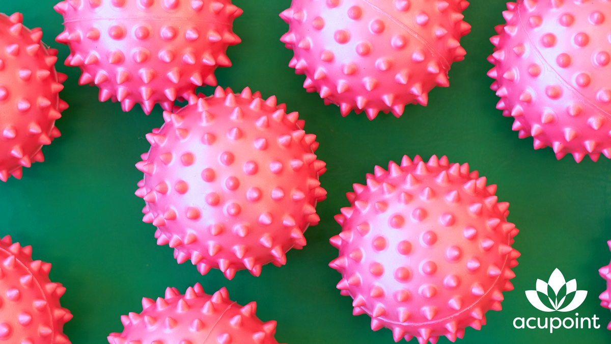 How to Use a Spiky Massage Ball An Essential Guide AcupointUSA